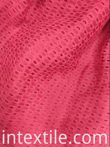 Hole Knitted Jacquard Fabric 500x500